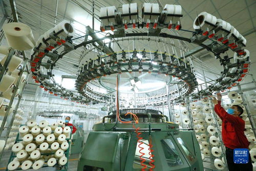 纺企订单激增带动即墨产业发展，网络技术服务助力转型升级