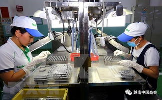 技术转让 越日工业合作的桥梁与引擎